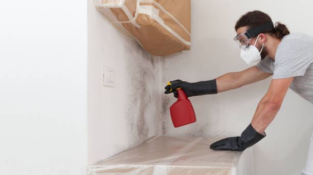 Professional Crawl Space Mold Removal technician working in Denville, NJ