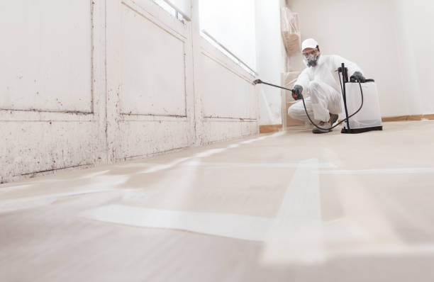 24/7 Emergency Crawl Space Mold Removal experts in Denville, NJ
