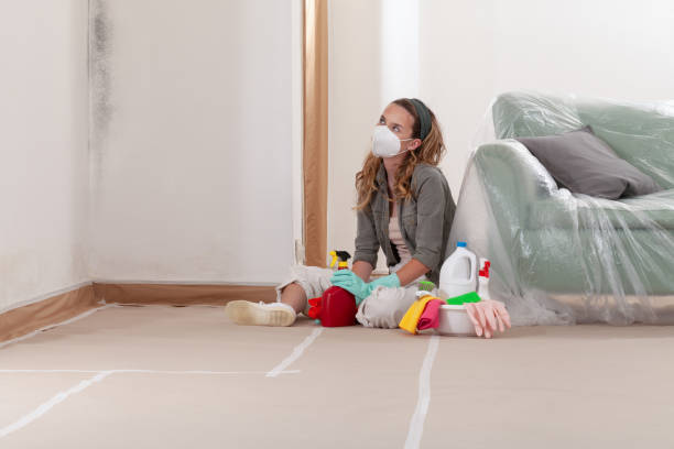 Reliable Crawl Space Mold Removal contractor in Denville, NJ by WQB Mold Removal