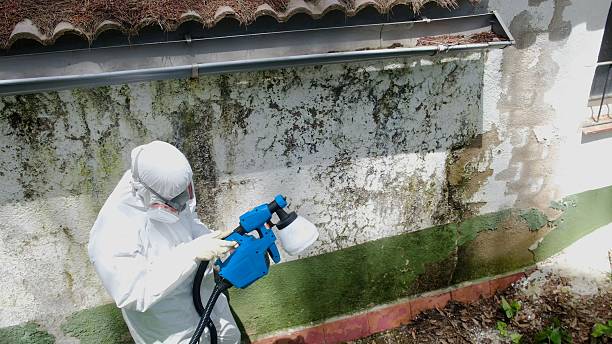 Top rated local Crawl Space Mold Removal specialists in Denville, NJ